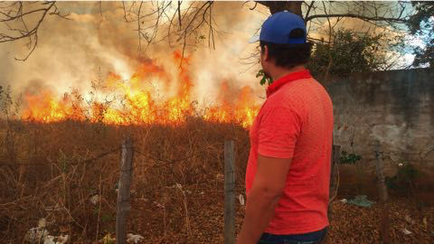 incendio-lagoa-dos-patos